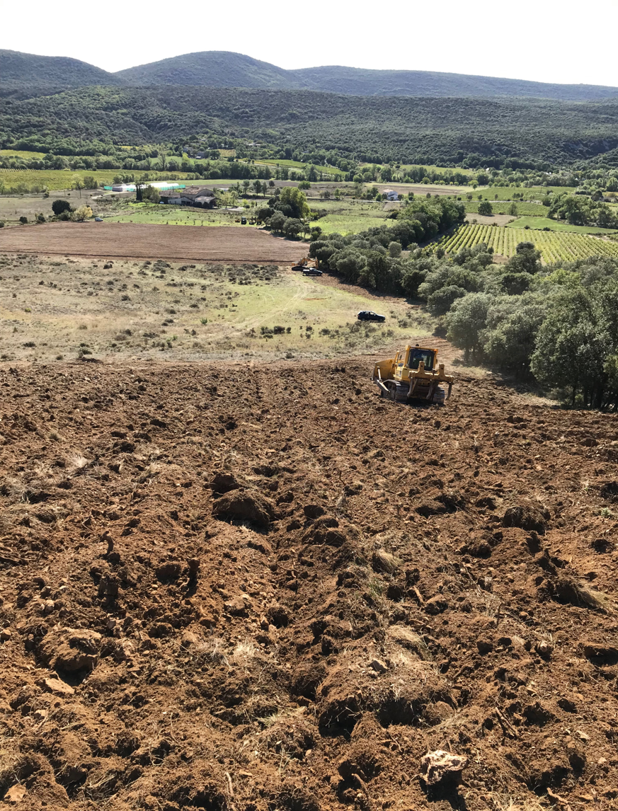 Plantation des vignes au Domaine de Sauzet, hérault (34)