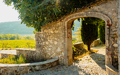 Entrée de caveau du domaine de sauzet