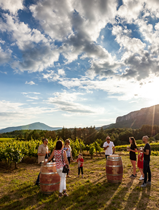 Degustation de vin avec vue sur la grotte des Demoiselle