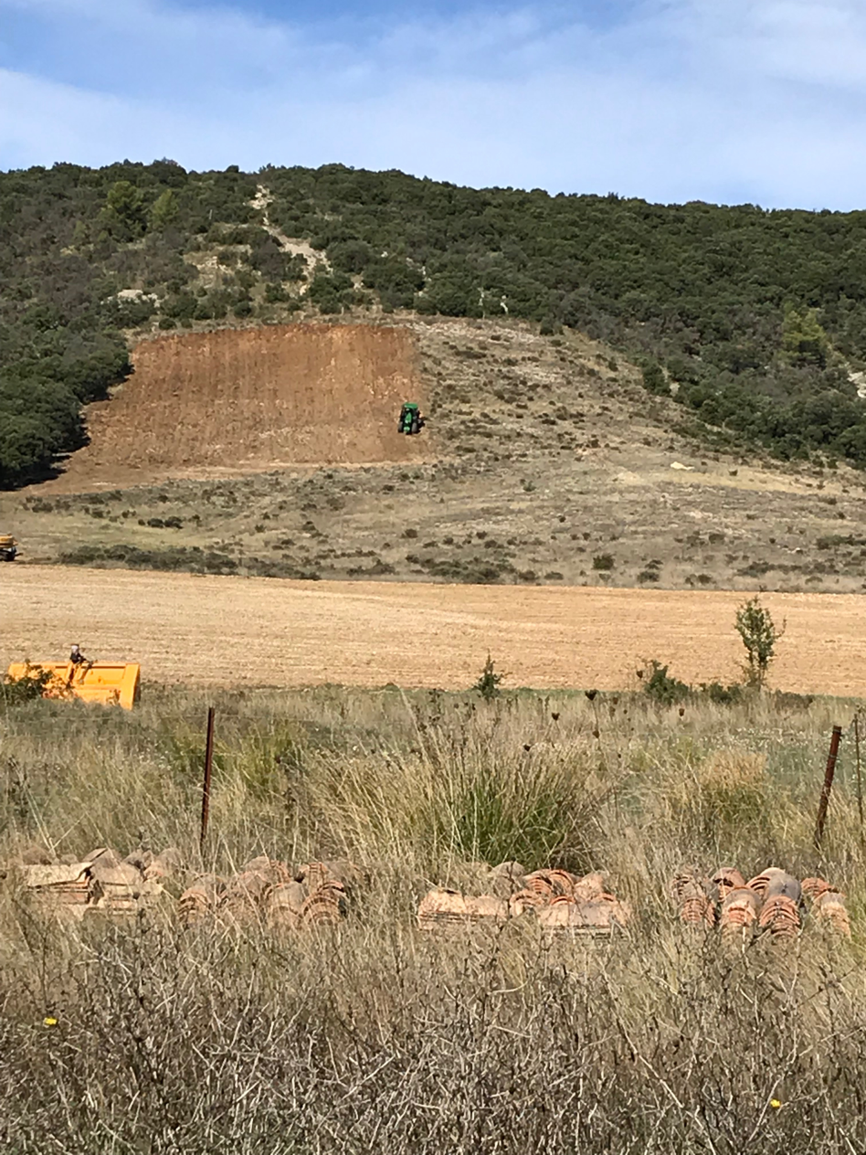 Plantation des vignes au Domaine de Sauzet, hérault (34), AOC Terrasses du Larzac