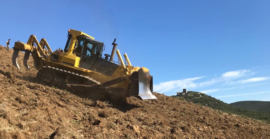 La nouvelle plantation de vignes Terrasses du Larzac